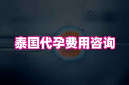 长沙助孕网 4